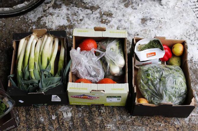 Мусор подан, извольте кушать Мусор подан, извольте кушать