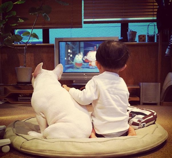 Лучшие друзья