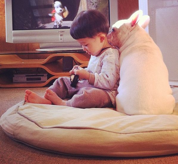 Лучшие друзья