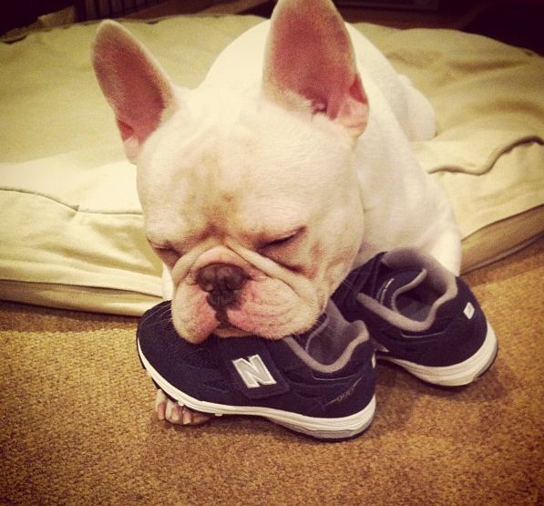 Лучшие друзья