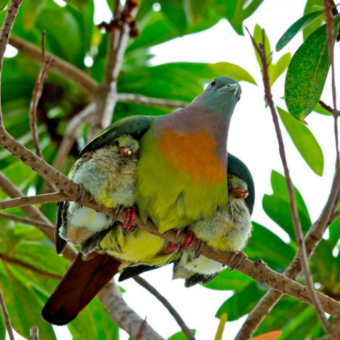 Прикольные картинки