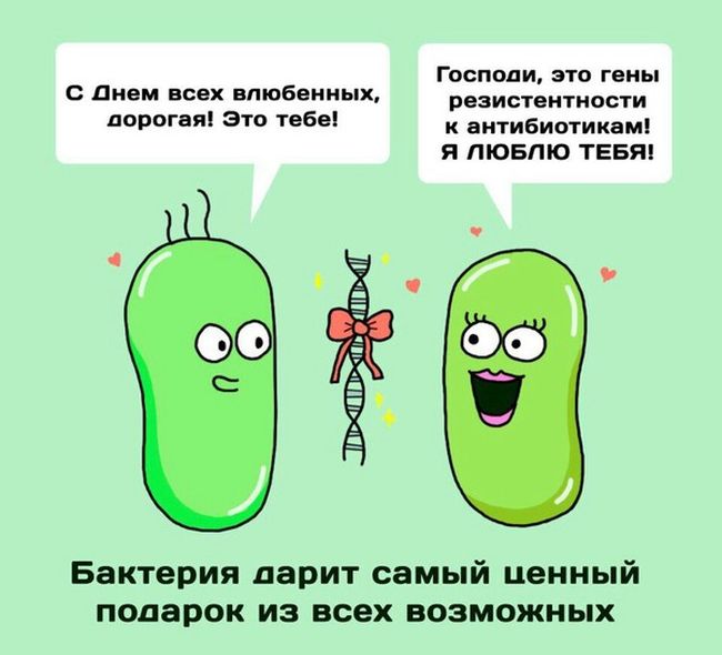 День святого Валентина