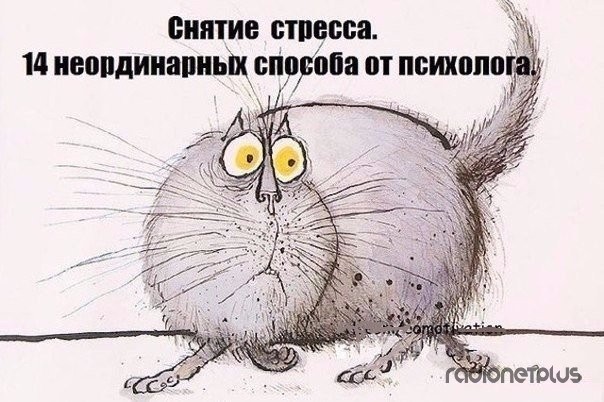 14 неординарных способов снятия стресса от психолога 14 неординарных способов снятия стресса от психолога