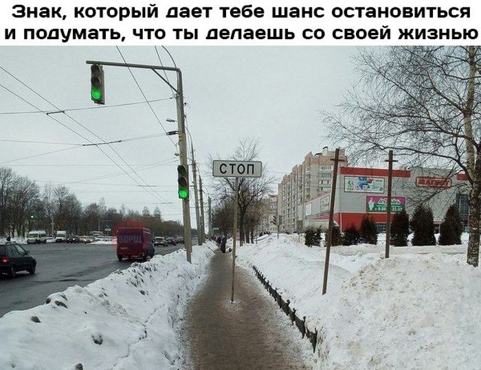 Прикольные картинки