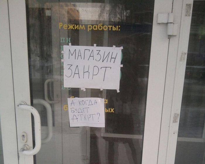 Прикольные картинки