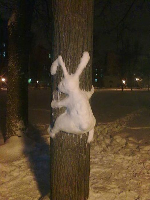 Интересные фотографии