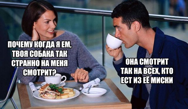 Прикольные картинки