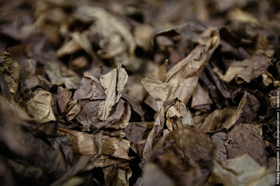 Погарские сигары Погарские сигары