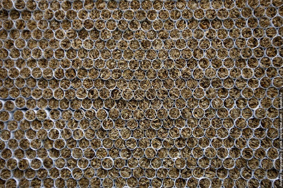 Погарские сигары Погарские сигары