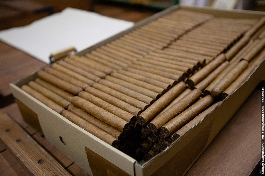 Погарские сигары Погарские сигары