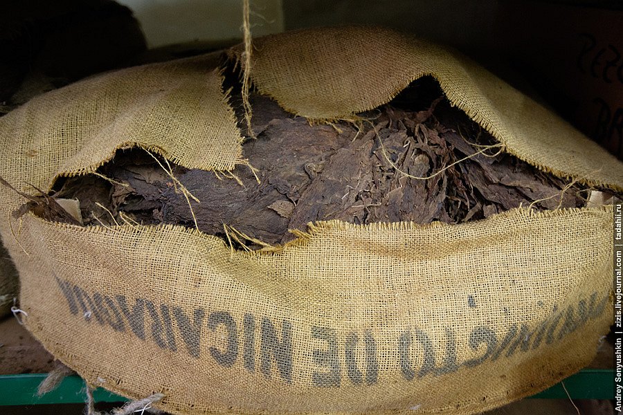 Погарские сигары Погарские сигары