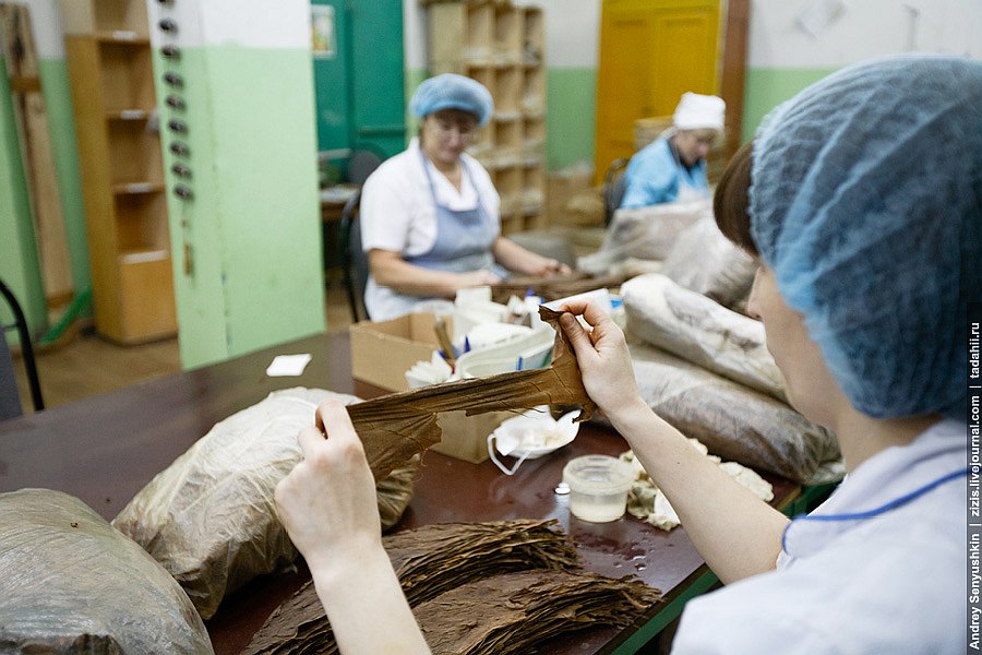 Погарские сигары Погарские сигары