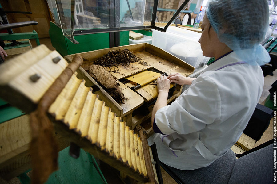 Погарские сигары Погарские сигары