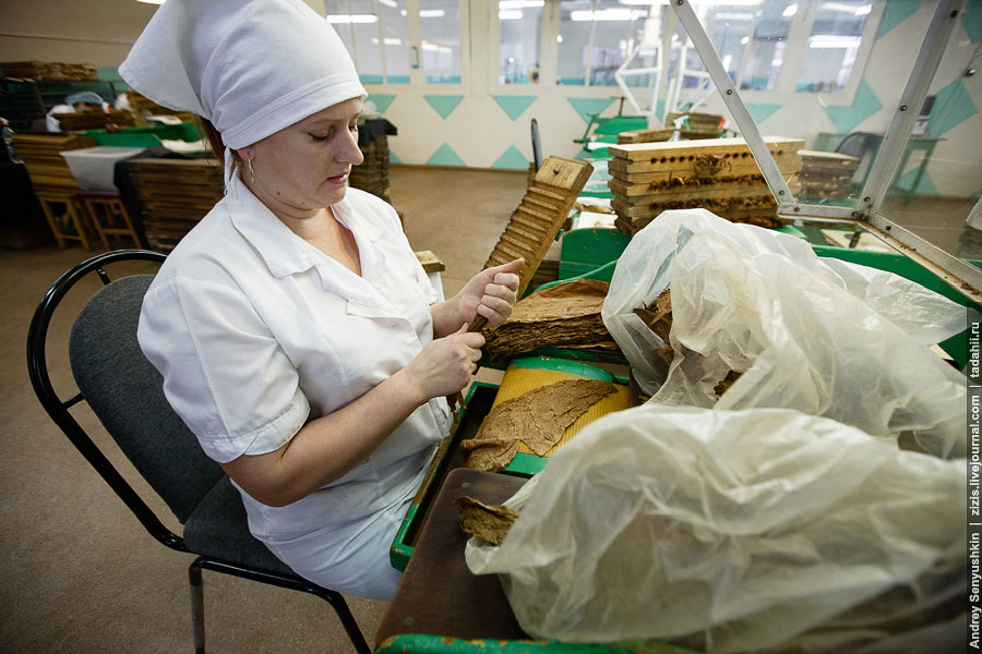 Погарские сигары Погарские сигары