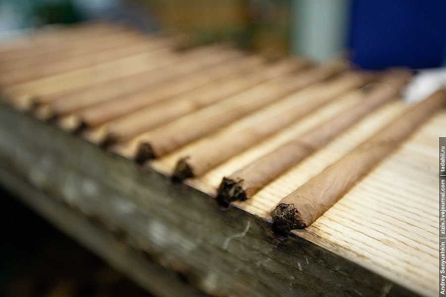 Погарские сигары Погарские сигары