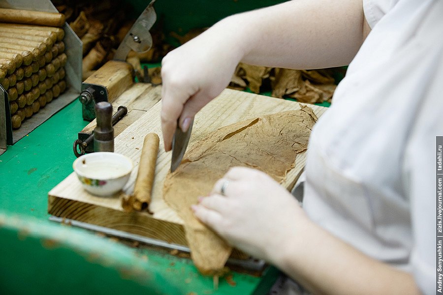 Погарские сигары Погарские сигары