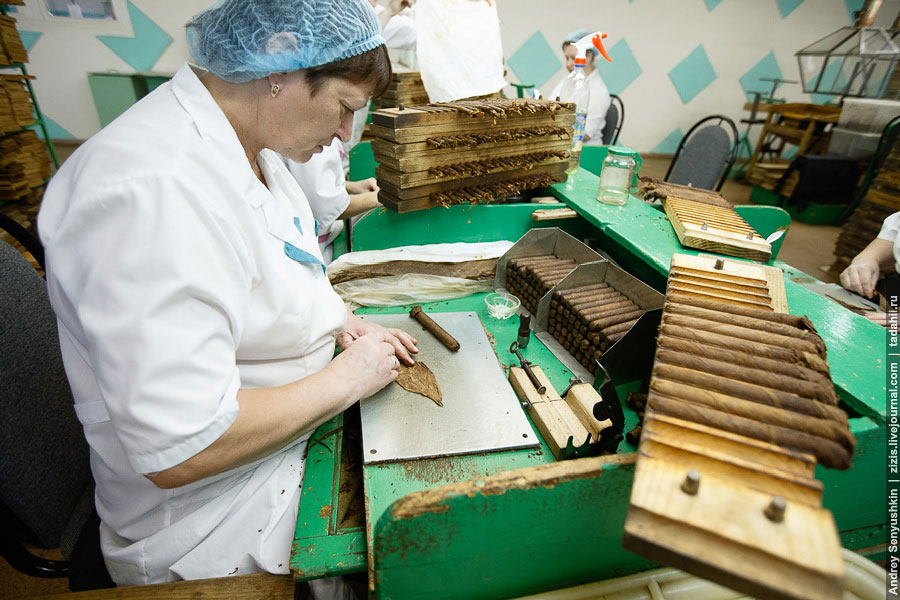 Погарские сигары Погарские сигары