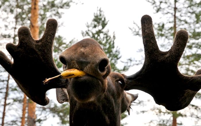 Прикольные картинки