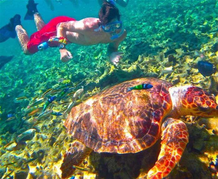 Прикольные картинки