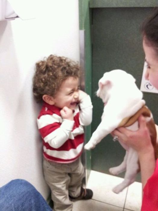 Прикольные картинки