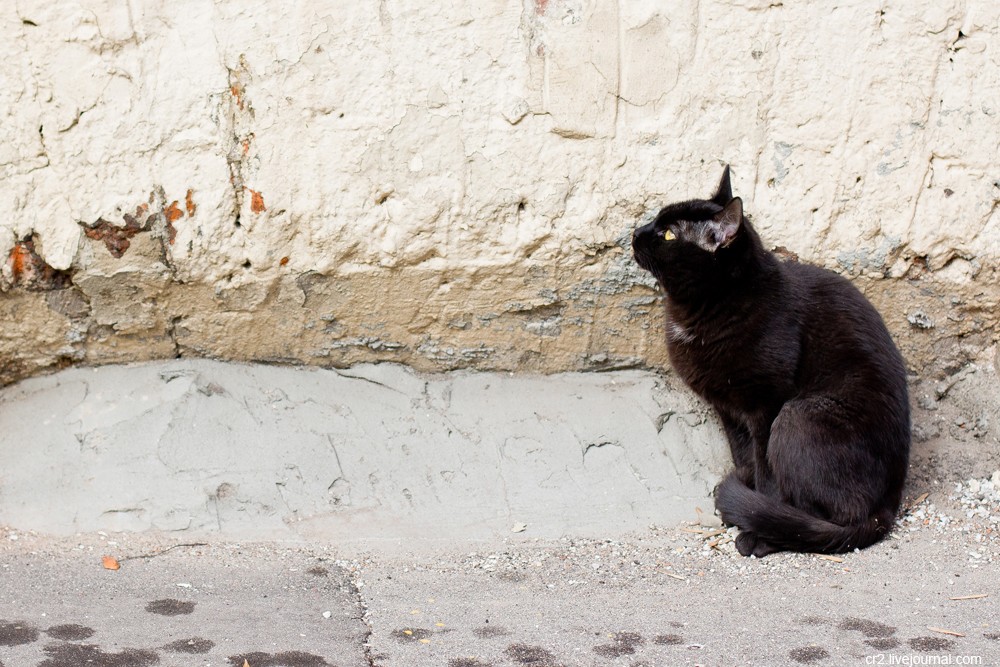 “Плоские” дома Москвы “Плоские” дома Москвы