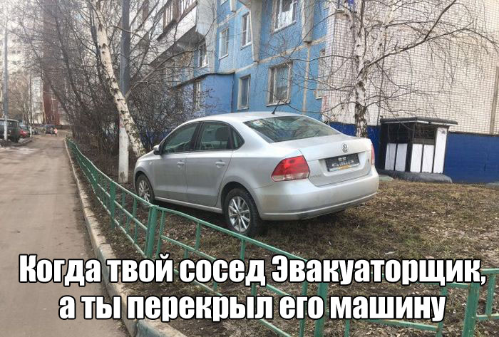 Прикольные картинки