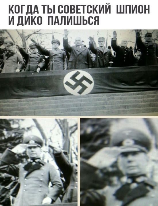 Прикольные картинки