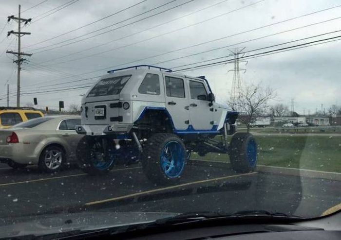 Прикольные картинки