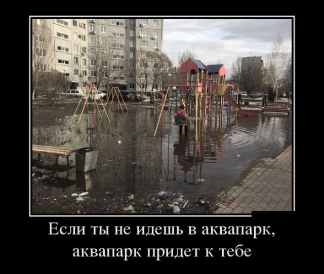 Демотиваторы