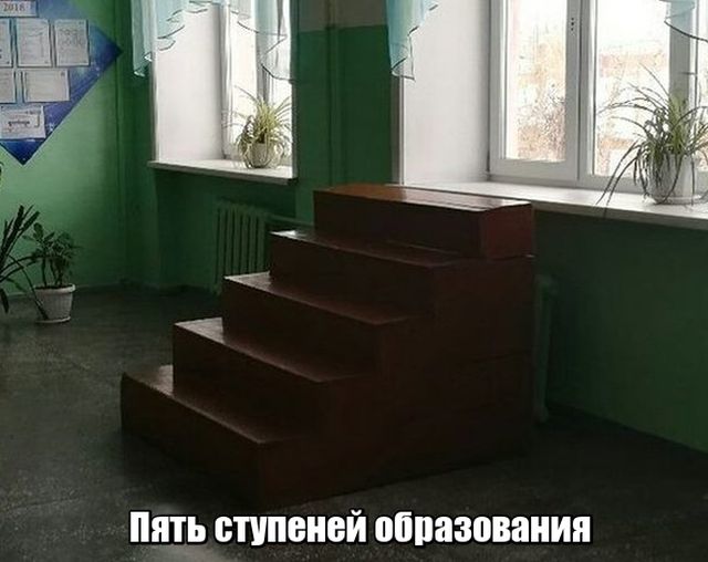 Прикольные картинки