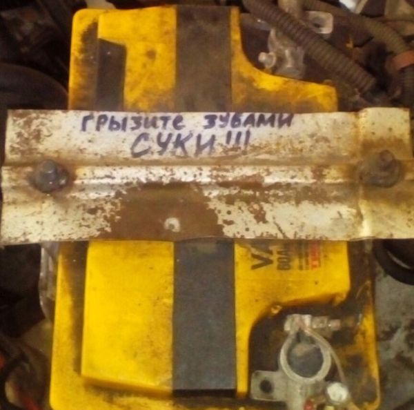 Прикольные картинки