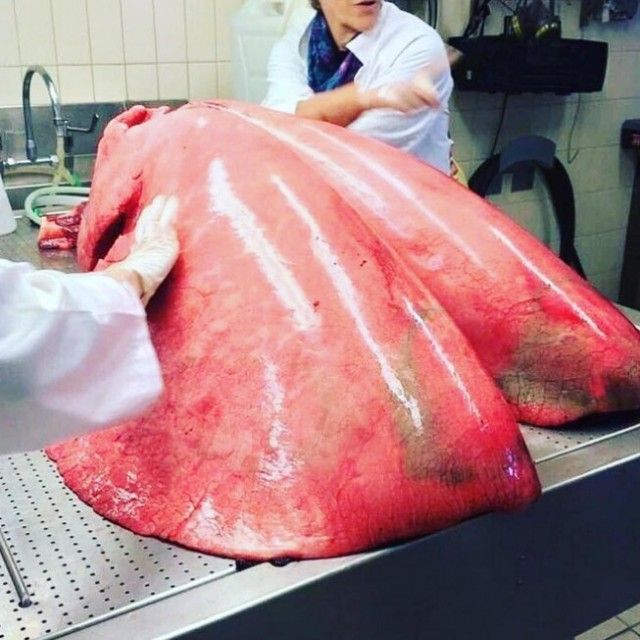 Остается только удивляться!