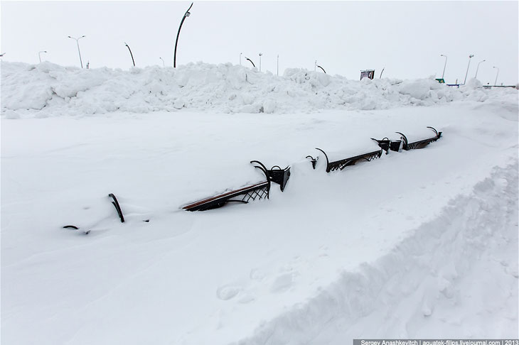 Мамонты из Ханты-Мансийска Мамонты из Ханты-Мансийска