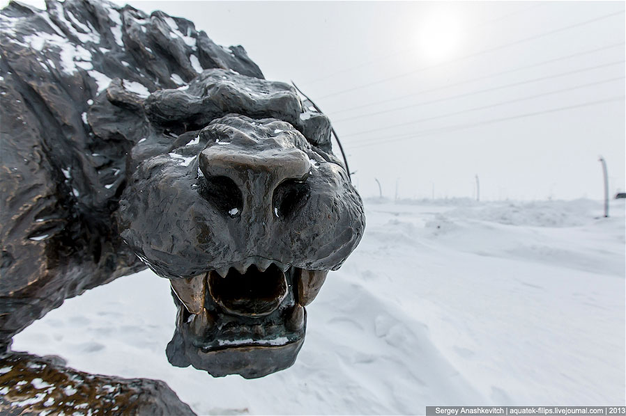 Мамонты из Ханты-Мансийска Мамонты из Ханты-Мансийска