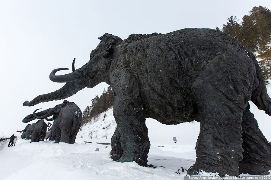 Мамонты из Ханты-Мансийска Мамонты из Ханты-Мансийска