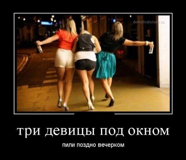 Демотиваторы (56 фото)