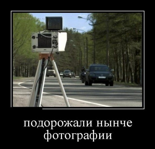 Демотиваторы (56 фото)