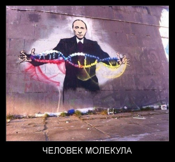 Демотиваторы (56 фото)