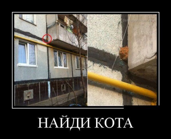 Демотиваторы (56 фото)