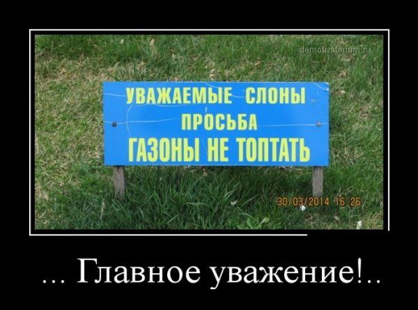 Демотиваторы (56 фото)