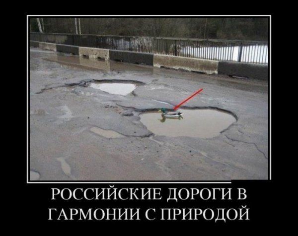 Демотиваторы (56 фото)