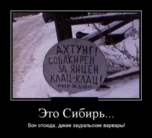 Демотиваторы (56 фото)