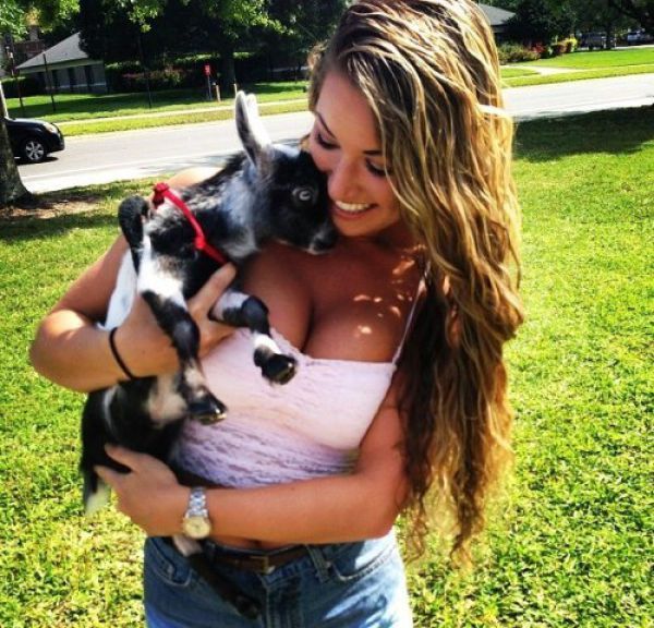 Прикольные картинки  (114 фото)