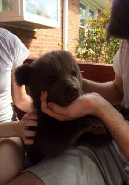 Прикольные картинки  (114 фото)