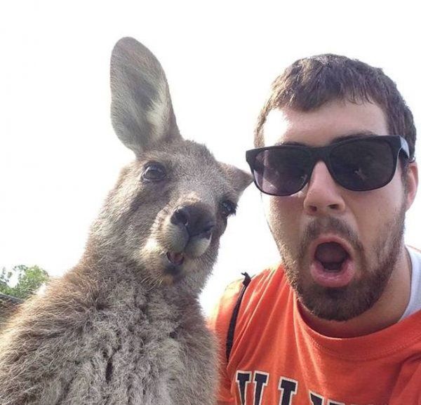 Прикольные картинки  (114 фото)