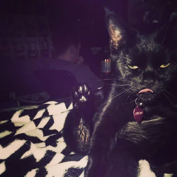 Прикольные картинки  (114 фото)