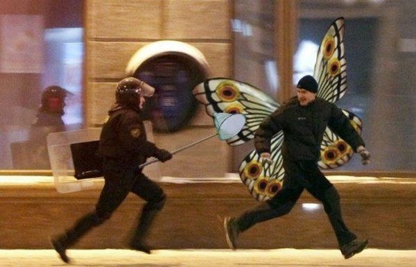 Прикольные картинки  (114 фото)