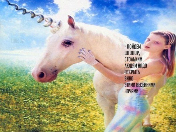 Прикольные картинки  (114 фото)