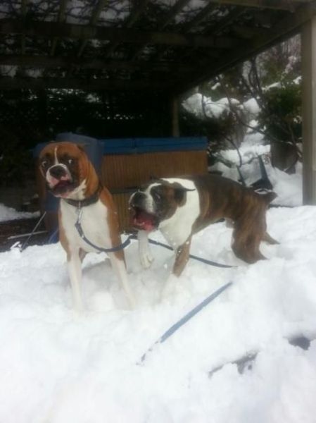 Прикольные картинки  (114 фото)