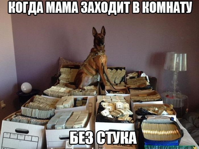 Порция картинок